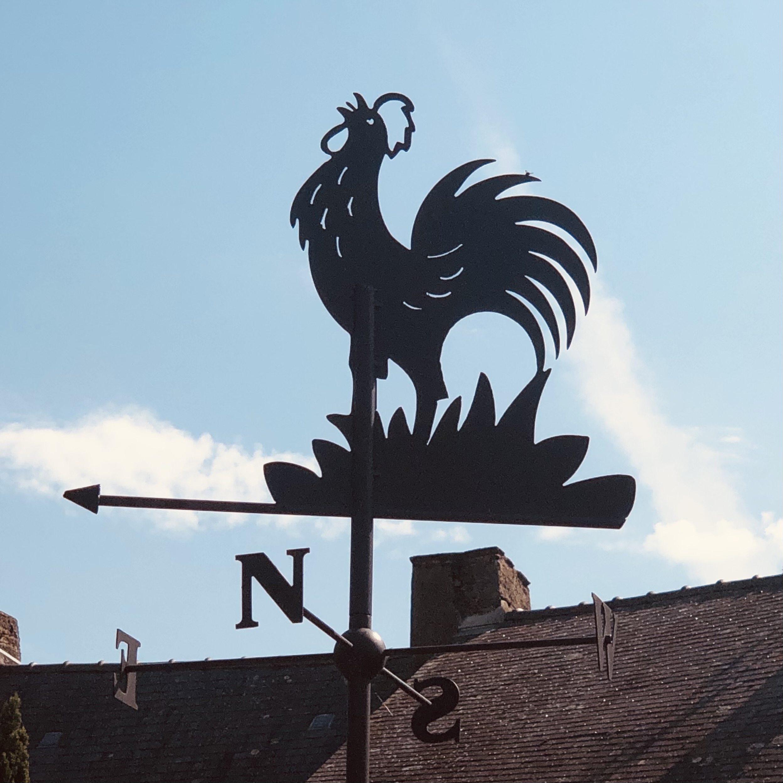 Girouette artisanale : POLO LE COQ