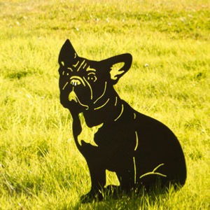 silhouette de bouledogue français sur la pelouse